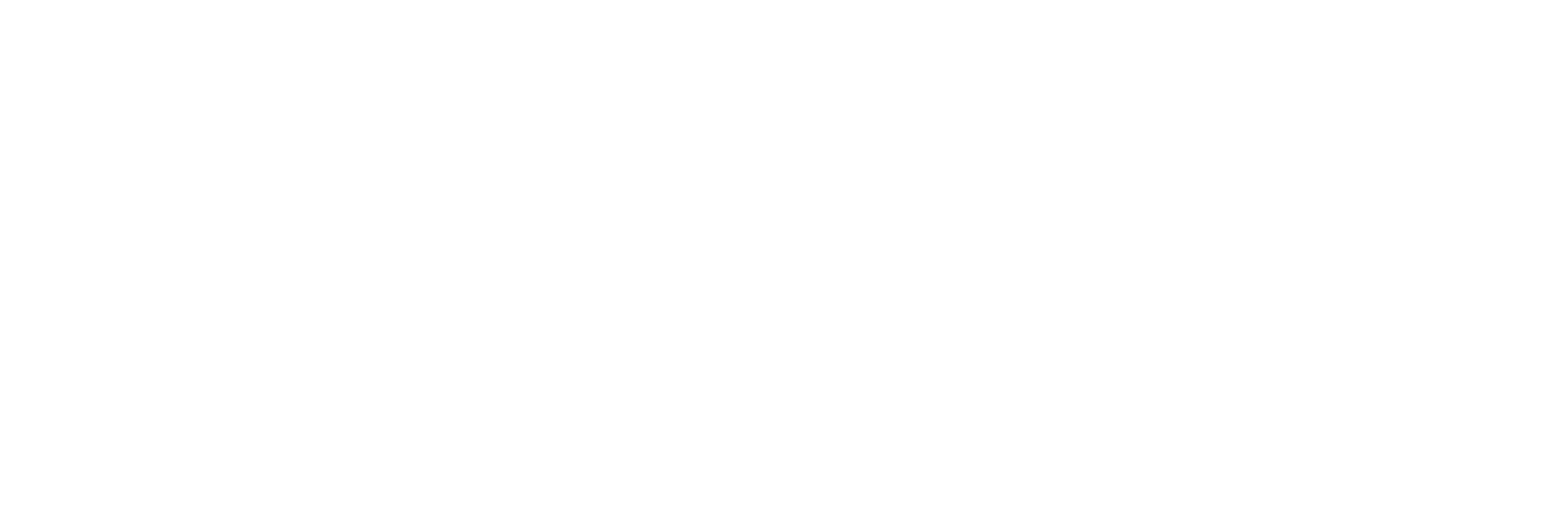 TPT Logo White
